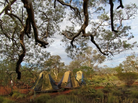 Karijini-eco-retreat-camping-tent-national-park-western-Australia