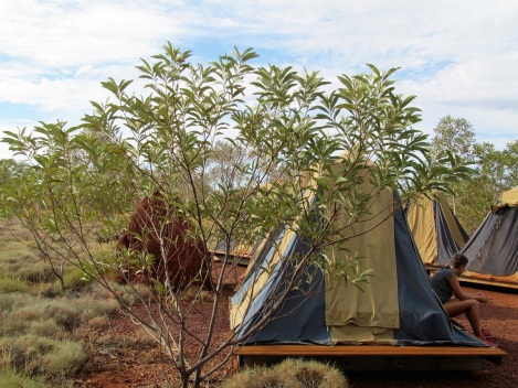 Karijini-eco-retreat-camping-western-australia-tent